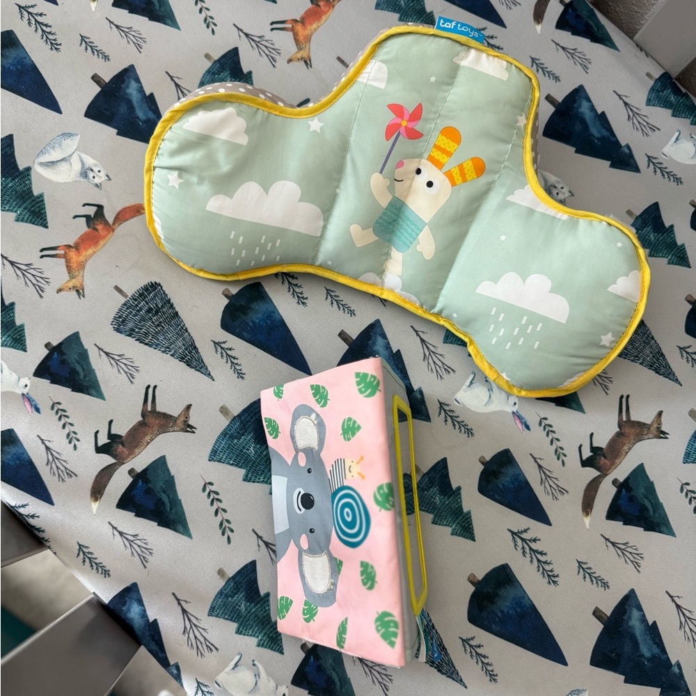 Baby Tummy Time Pillow and Book Set